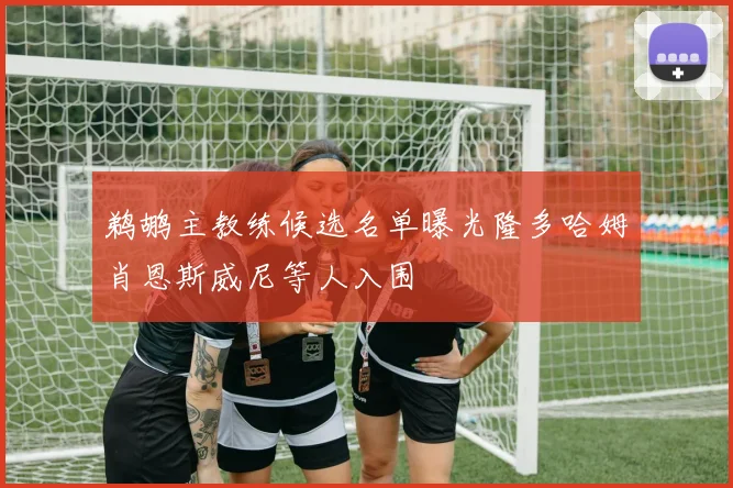 鹈鹕主教练候选名单曝光隆多哈姆肖恩斯威尼等人入围