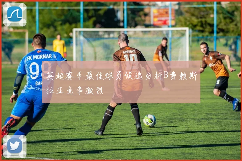 英超赛季最佳球员候选分析B费赖斯拉亚竞争激烈