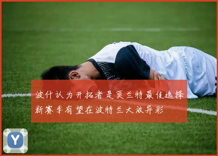 波什认为开拓者是莫兰特最佳选择新赛季有望在波特兰大放异彩