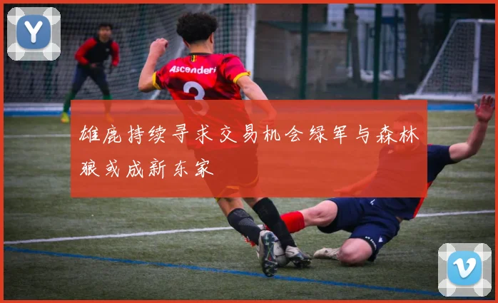 雄鹿持续寻求交易机会绿军与森林狼或成新东家